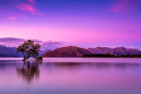 picturr|100,000+ Best Beautiful Images & Pictures .